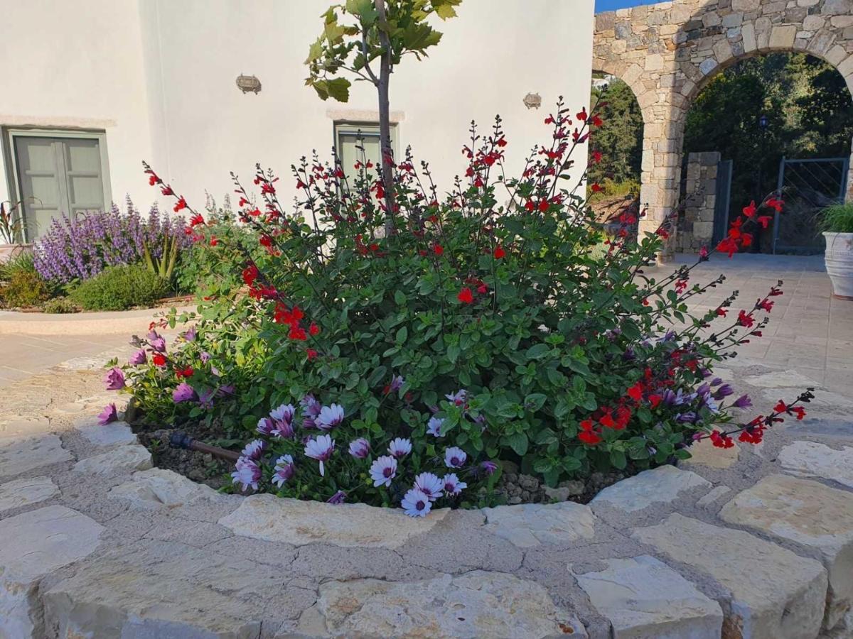 Anamnezia Luxury Suites (Adults Only) Agios Dimitrios  Exterior foto